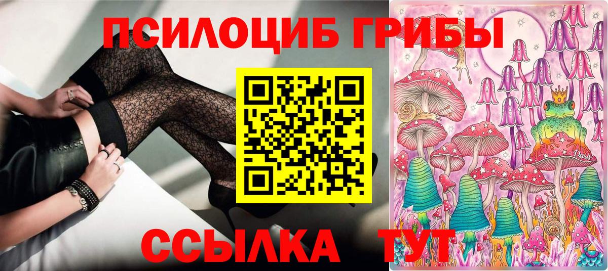Псилоцибиновые грибы Psilocybe Майский