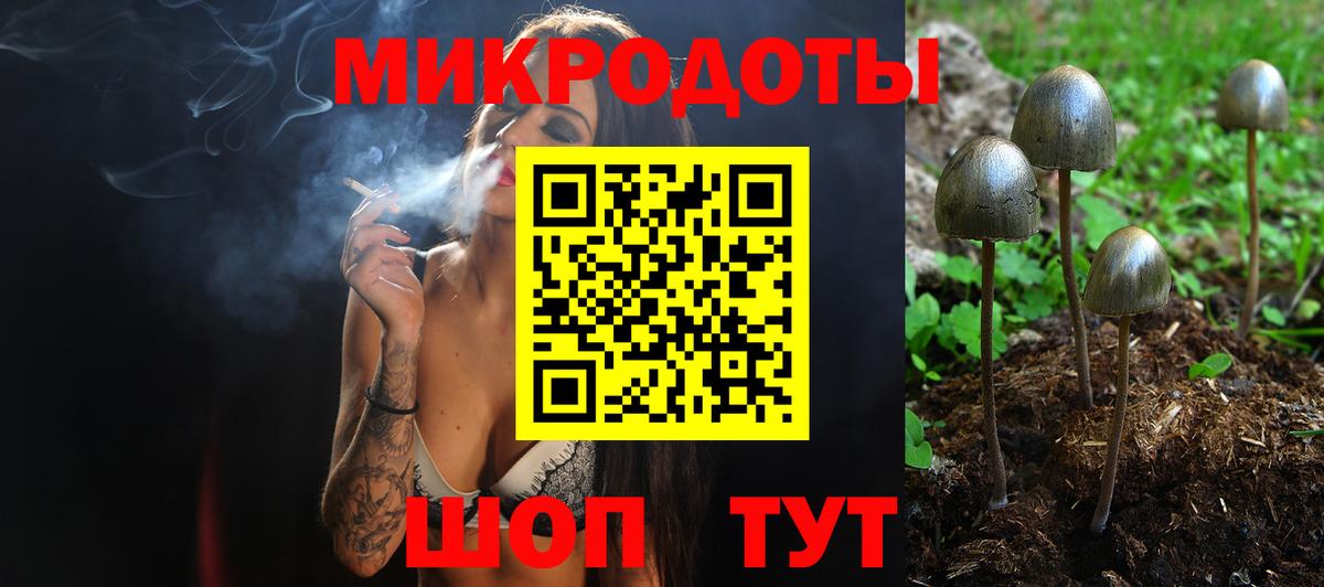 Псилоцибиновые грибы MAGIC MUSHROOMS  Вход с VPN  купить закладку  Майский  Псилоцибиновые грибы Psilocybe 